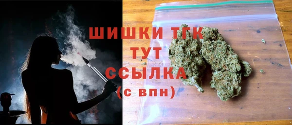 mix Надым