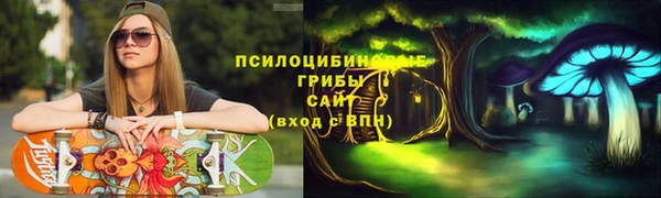mix Надым