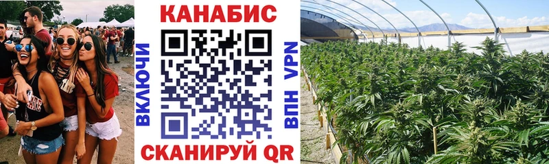 цены   Петушки  Конопля гибрид 